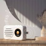 دانگل بلوتوث ارلدام مدل BR17